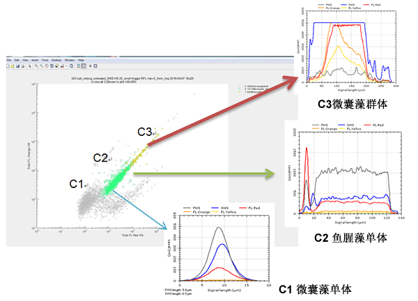 CytoSense藻類在線系統(tǒng)120h高頻次無故障運(yùn)行實(shí)驗(yàn)效果圖.gif